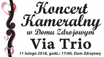 Koncert Kameralny w Domu Zdrojowym