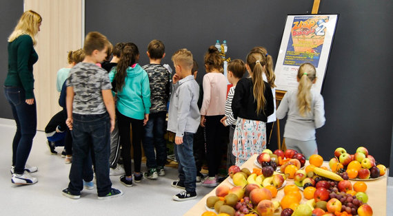 „Złap Bakcyla 2!” - wystawy powarsztatowe prac uczestników