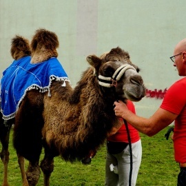 „Przystanek PRL”